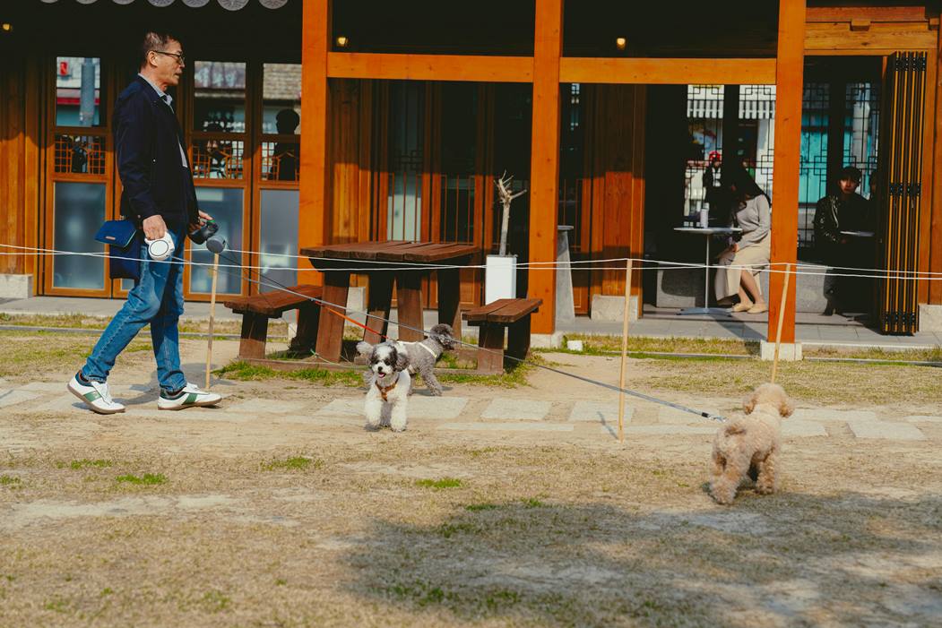 Brain Drain vs. Brain Gain: How Migration Shapes Economies