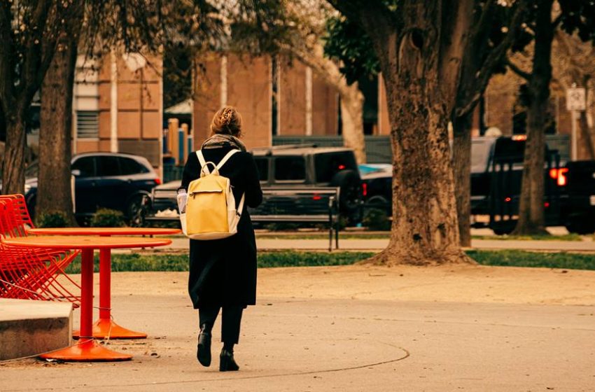  Evolution of the U.S. Tax System: Changes from 2020 to 2025