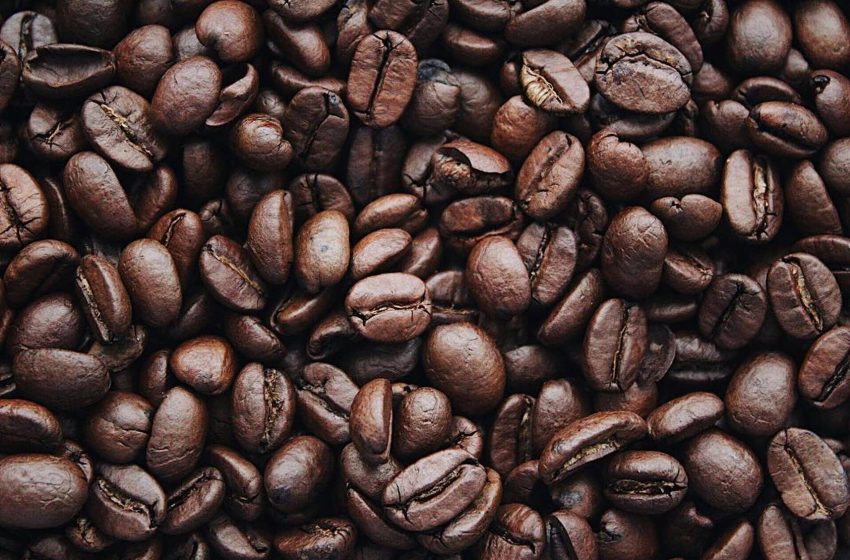  Global Coffee Production in 2025: Major Producers, Exporters, and Market Trends