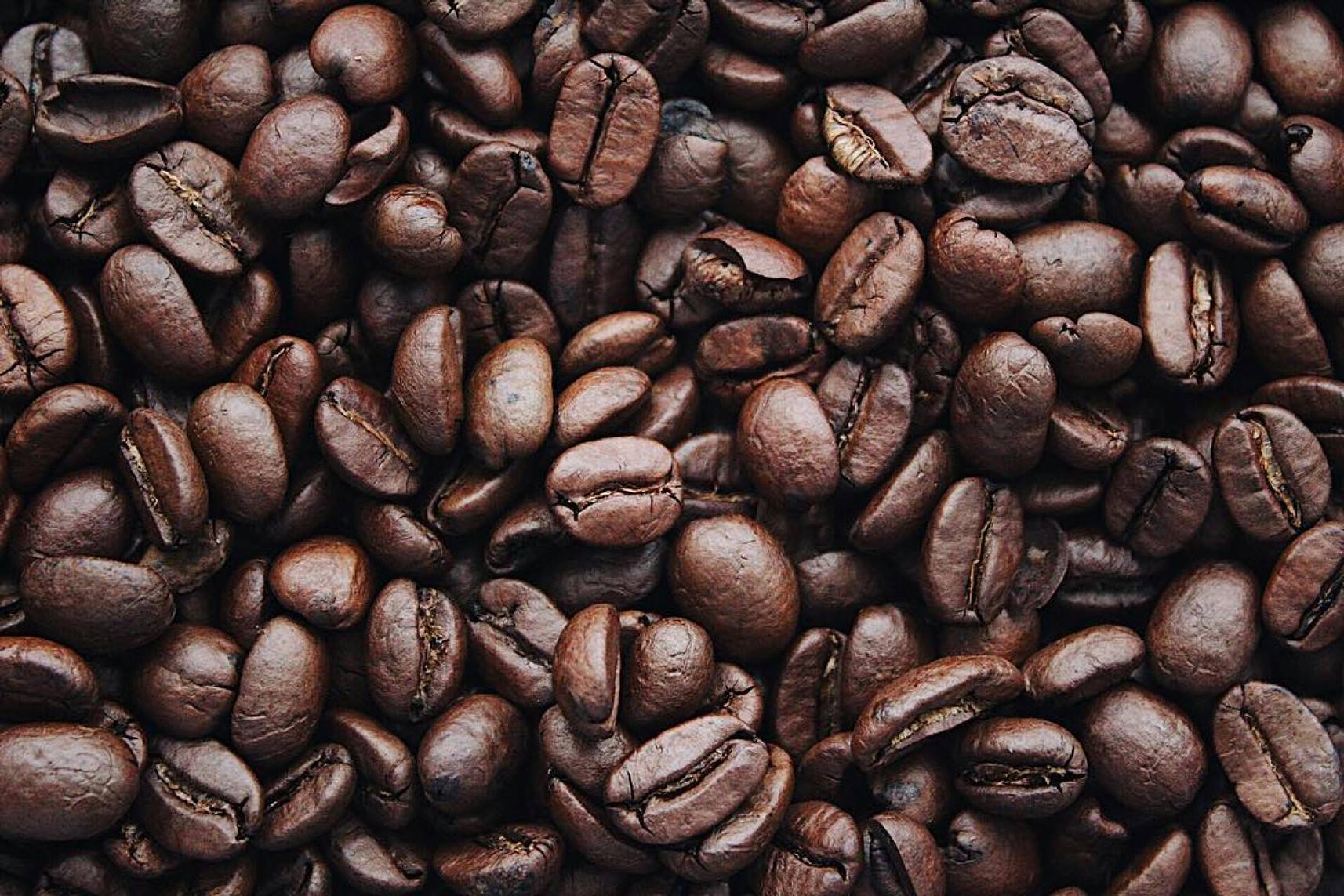 Global Coffee Production in 2025: Major Producers, Exporters, and Market Trends
