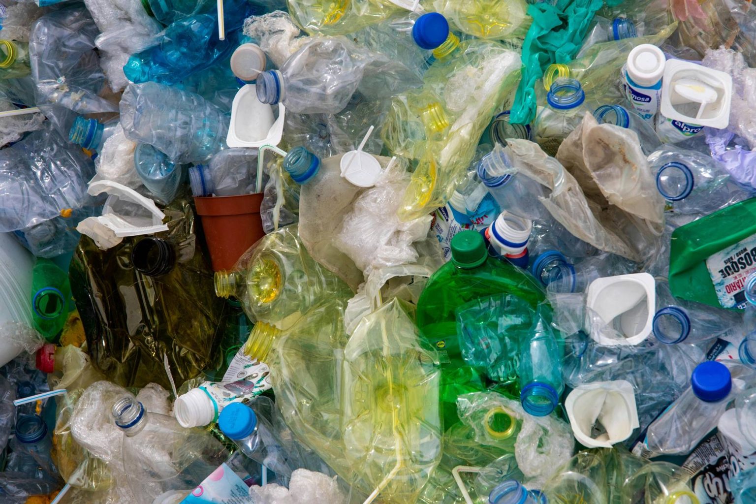 Global Plastic Production and Waste Management
