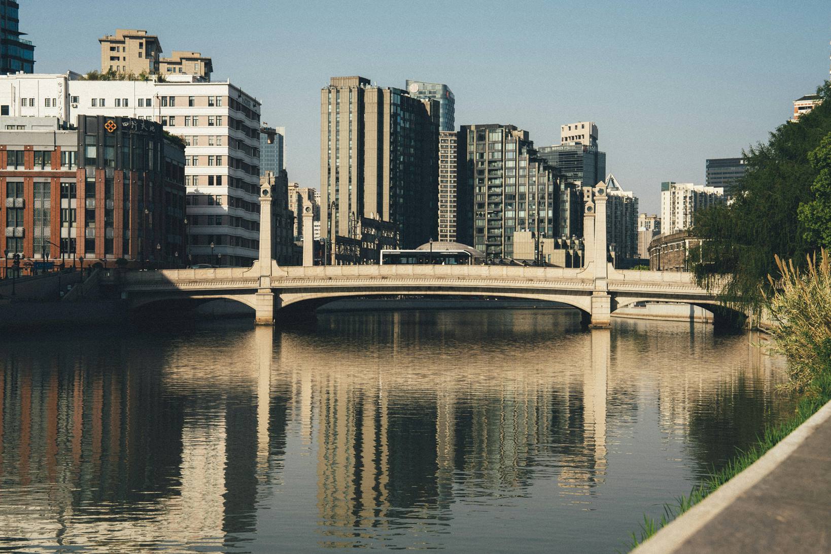 Economic Diversification: The Path from Resource Dependency