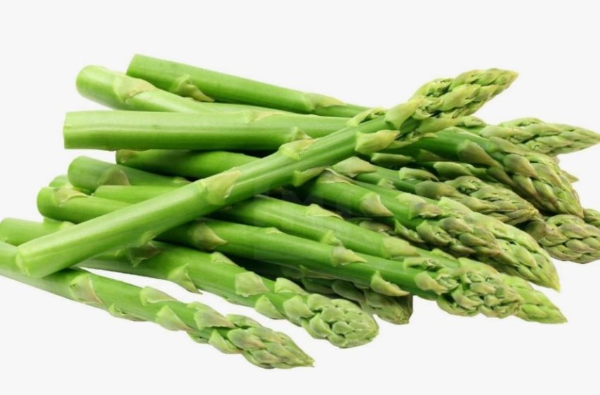  Top 10 Asparagus-Producing Countries in 2025