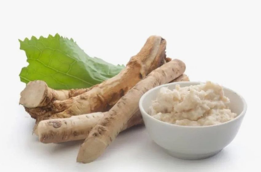  Top 10 Horseradish Producing Countries in 2025