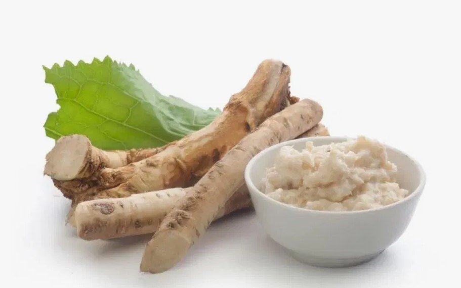 Top 10 Horseradish Producing Countries in 2025
