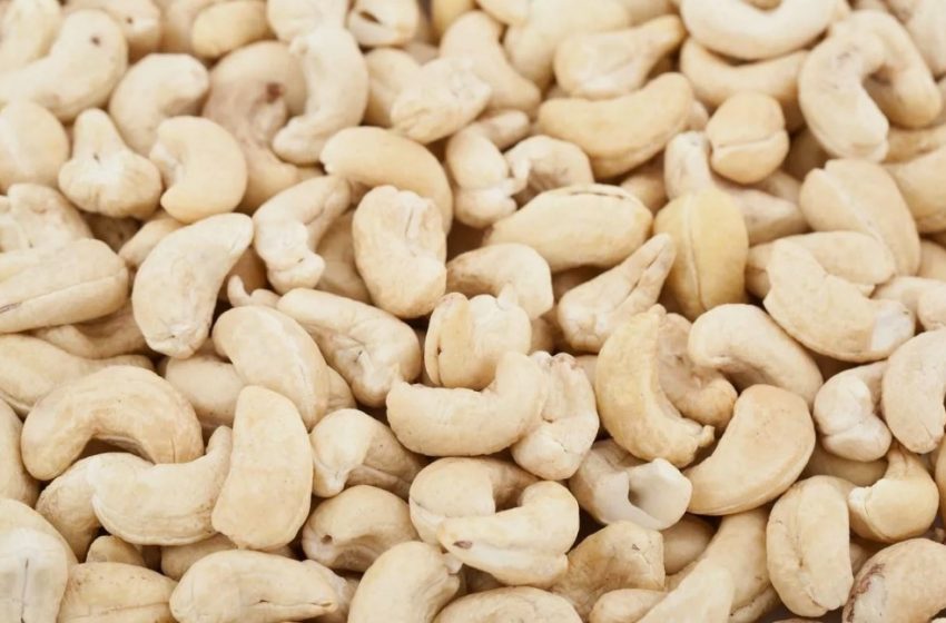  Тop 10 Cashew-Producing Countries in 2025