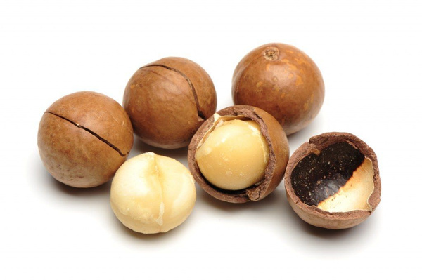 Top 10 Macadamia Producing Countries in 2025