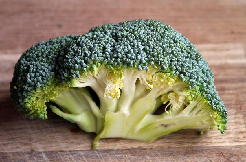  Top 10 Countries for Broccoli Production in 2025