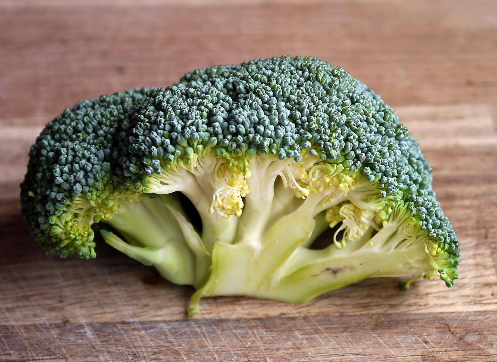 Top 10 Countries for Broccoli Production in 2025