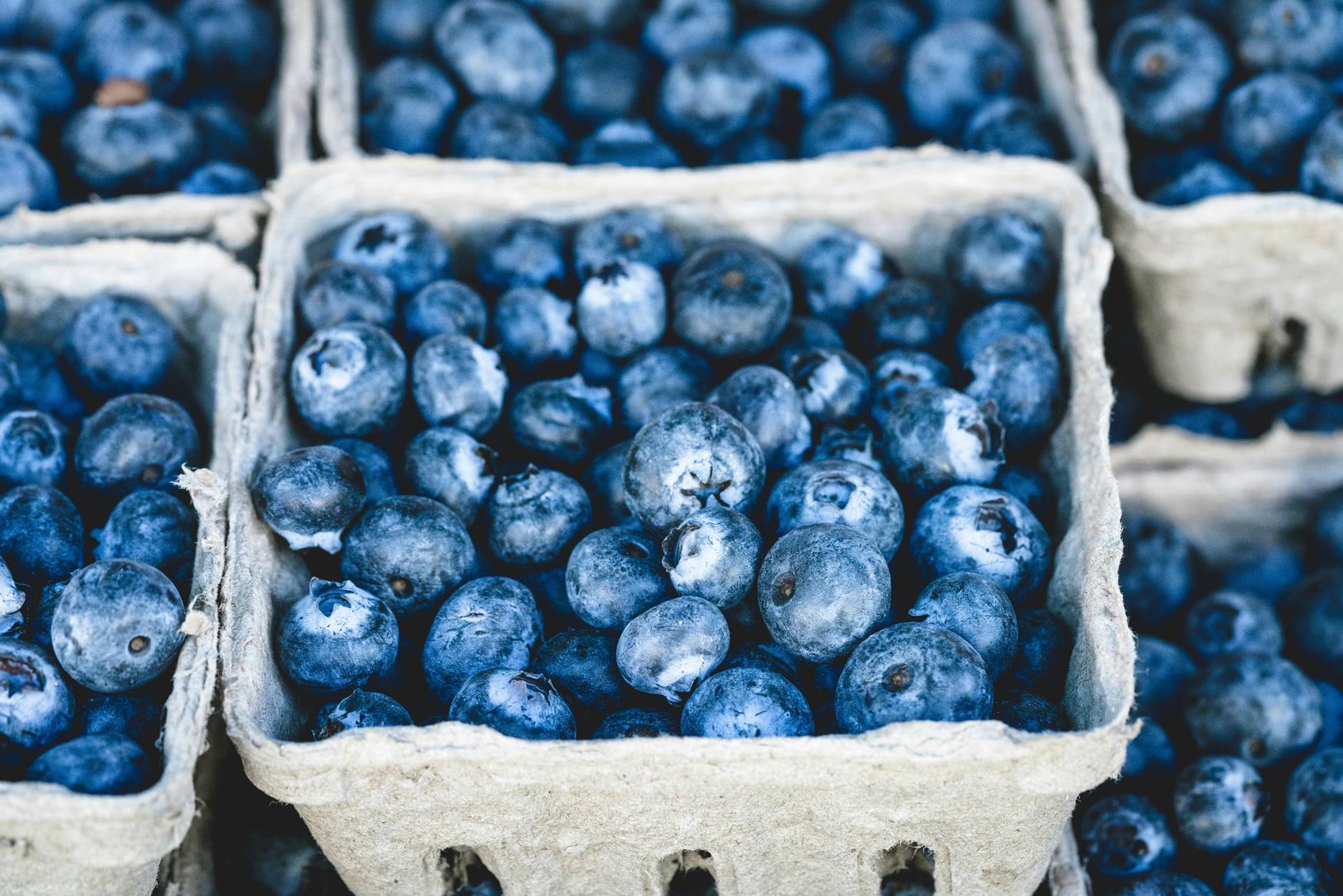 Top 10 Blueberry Producing Countries in 2025
