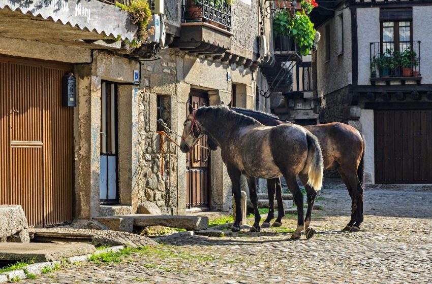  Top 10 countries with the smallest/largest number of households