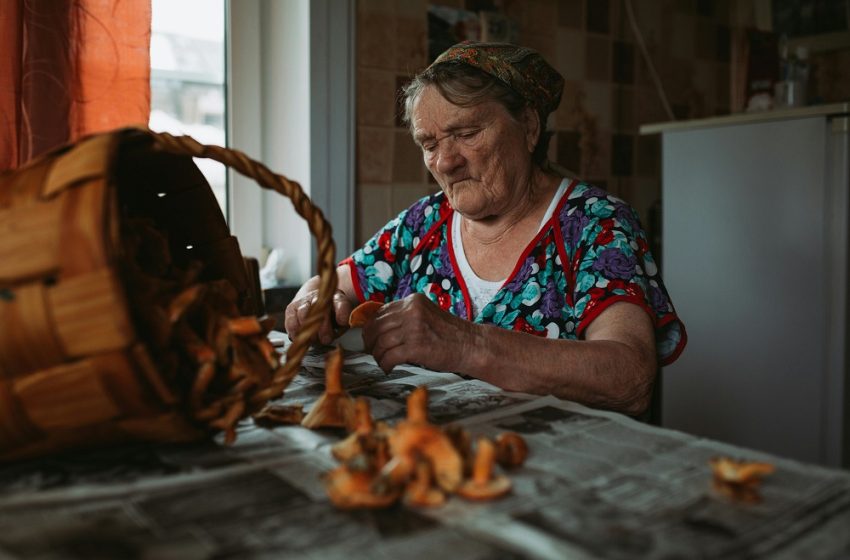  TOP 10 Countries with Highest Share of Single-Person Households (2025)