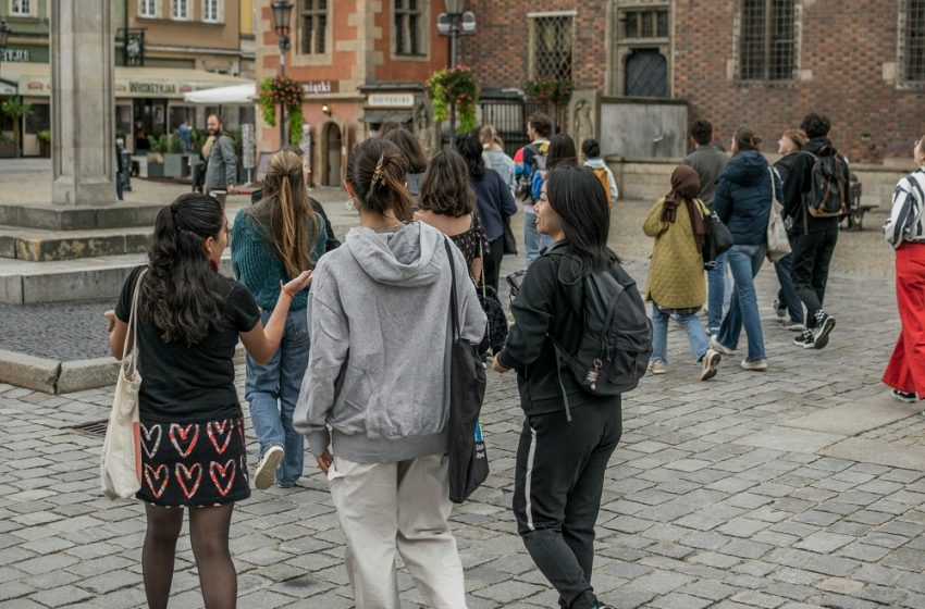  TOP 10 Countries by Foreign-Born Share in Working-Age Population (15–64, 2025)