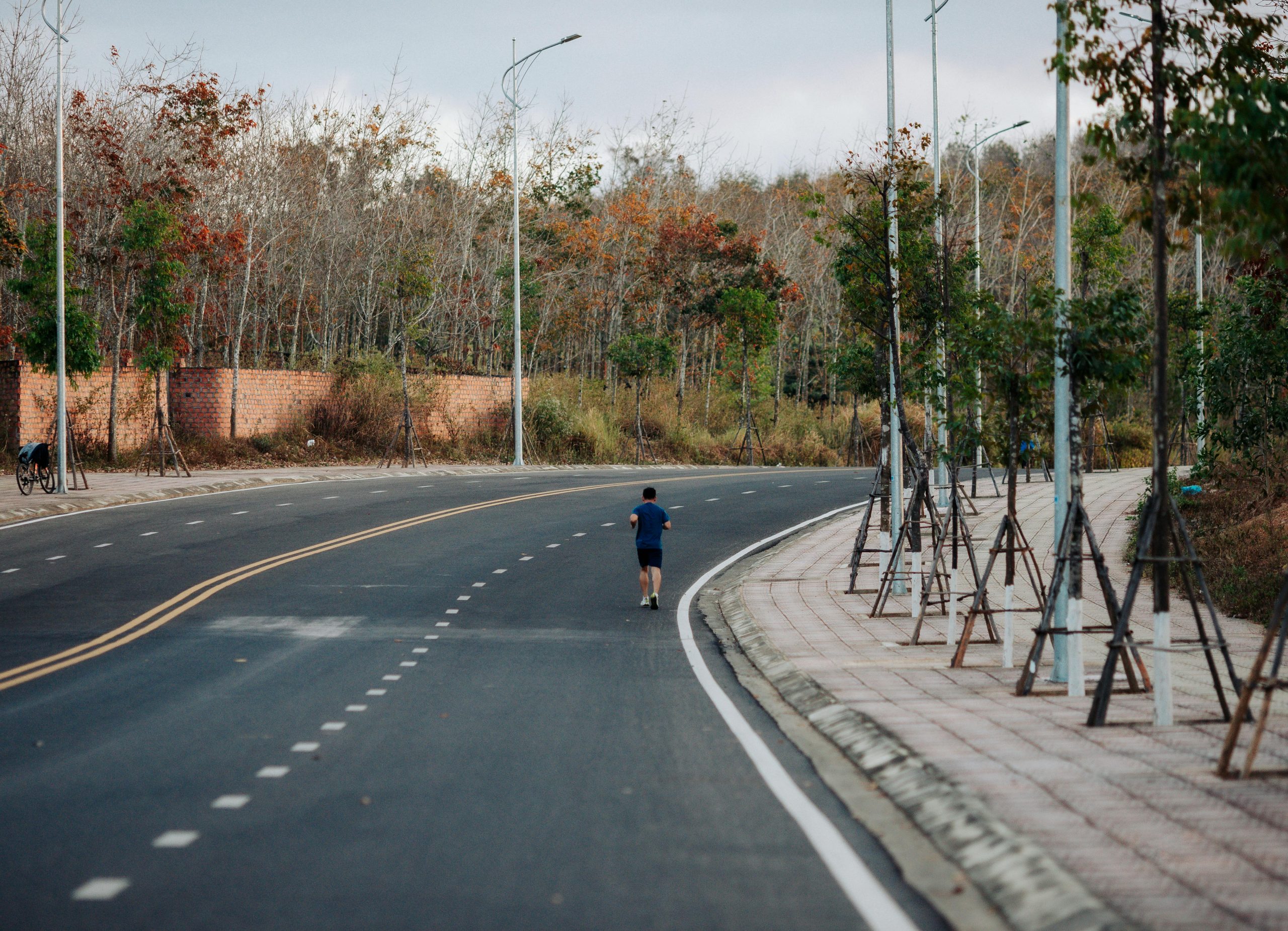 TOP 10 Countries with Lowest CVD Mortality (2025)