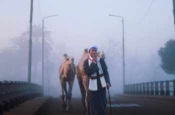 Migration Map 2025: Top 100 Countries by Share of Foreign-Born Population