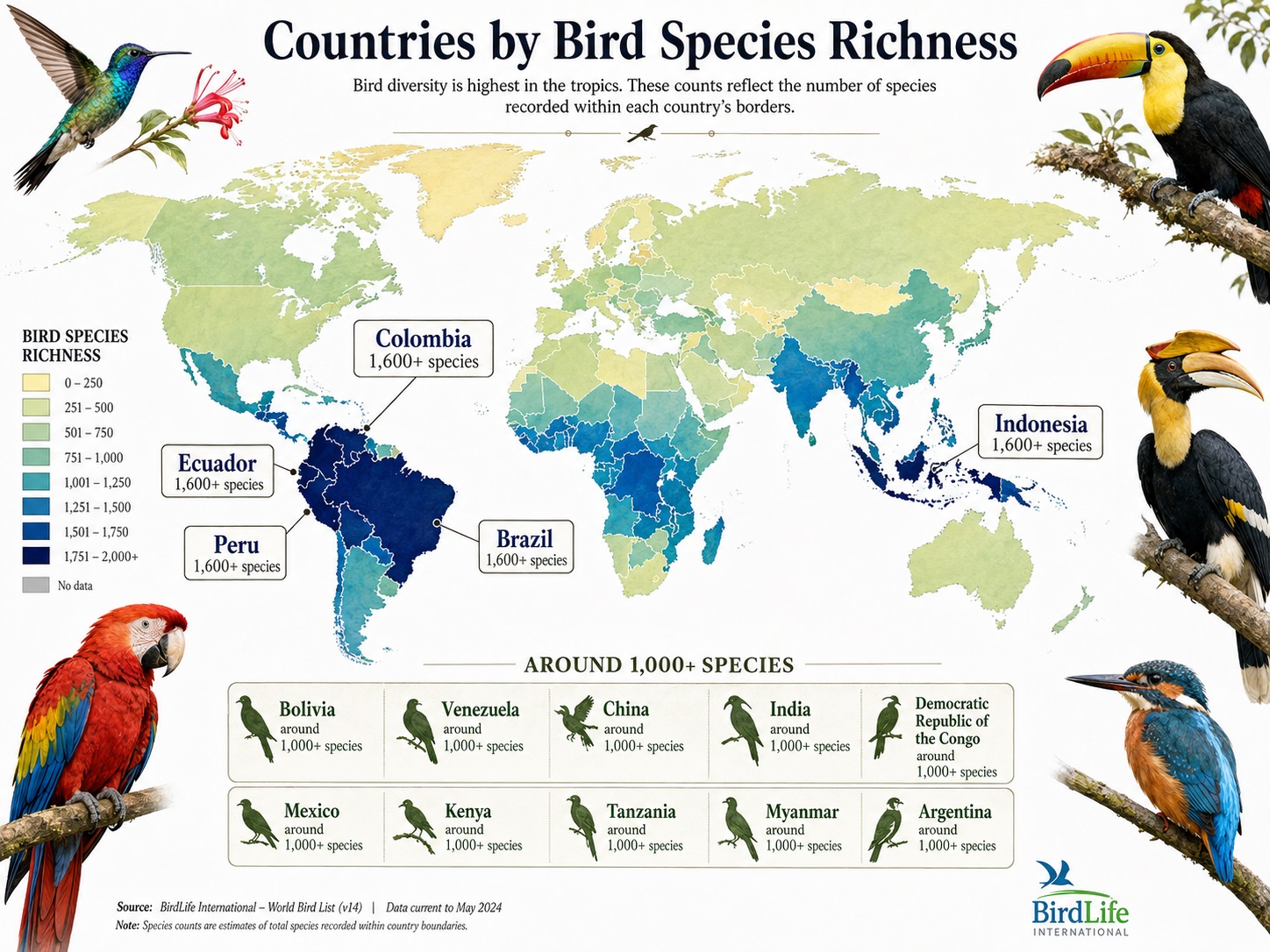 Top 100 Countries by Bird Species Richness, 2026