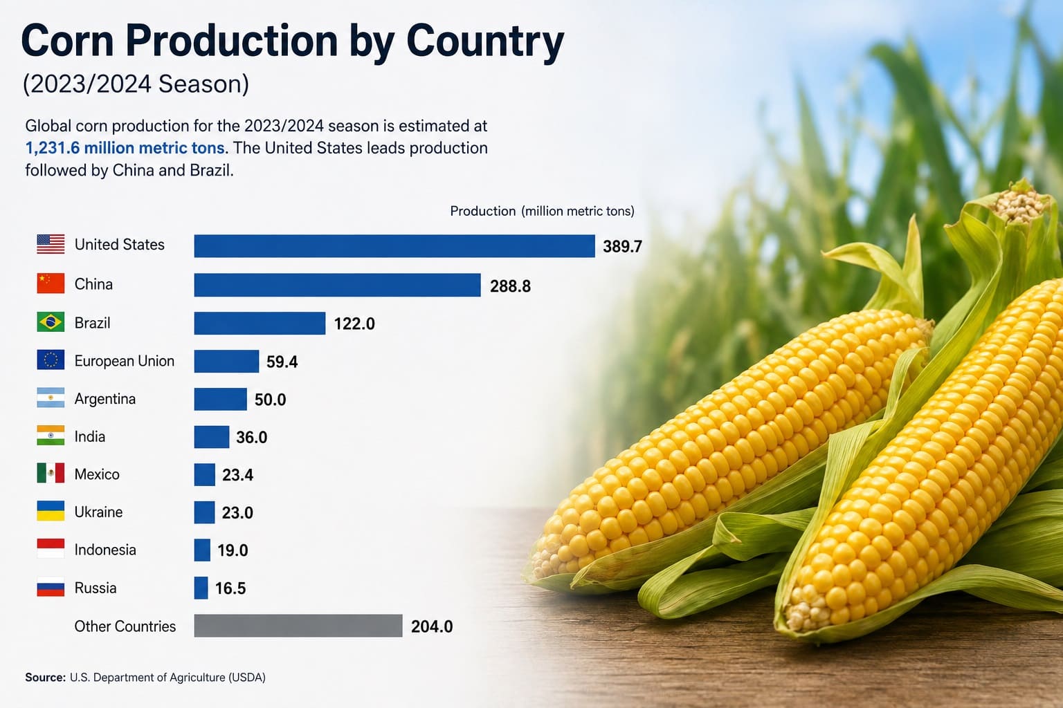 Corn Production by Country